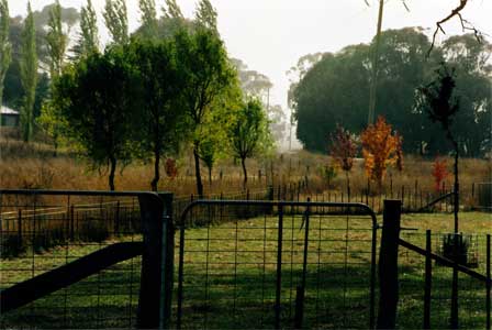 Autumn effect